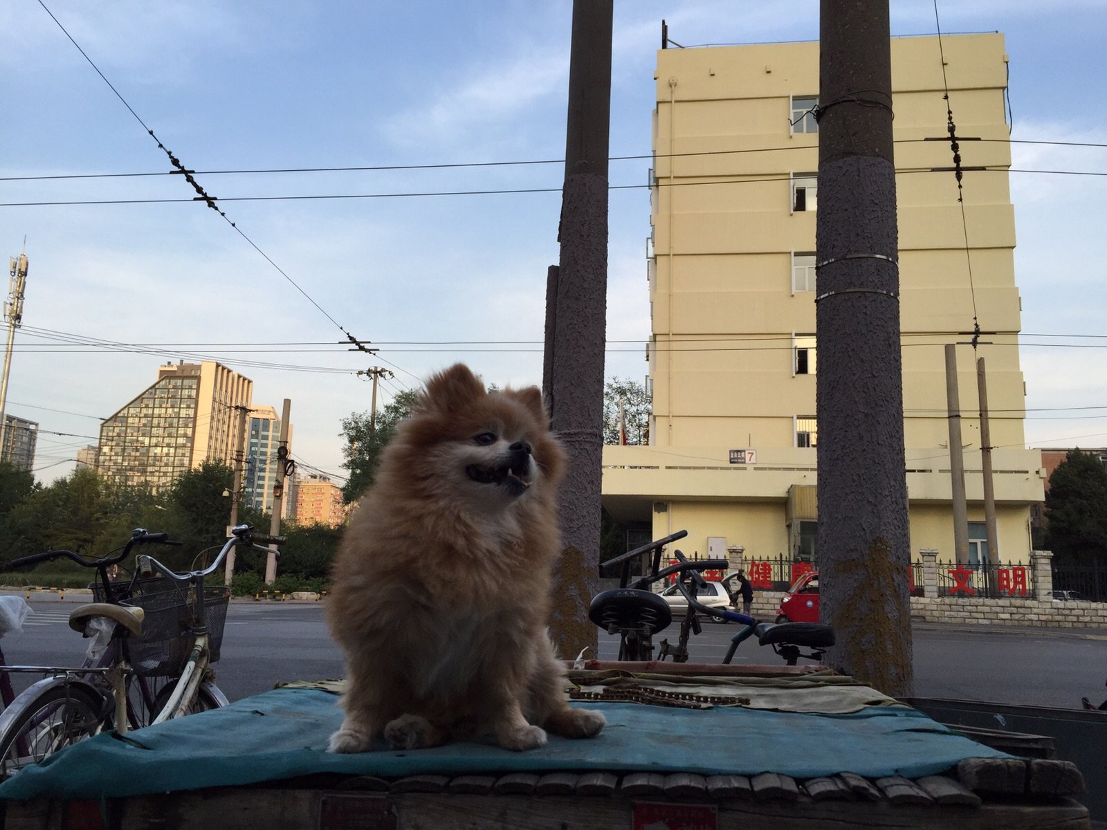 Guomao and the CCTV Tower